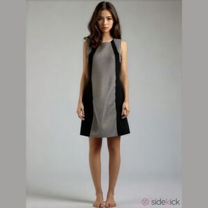 Peter Nygard Black Sleeveless Shift Dress Sz 8